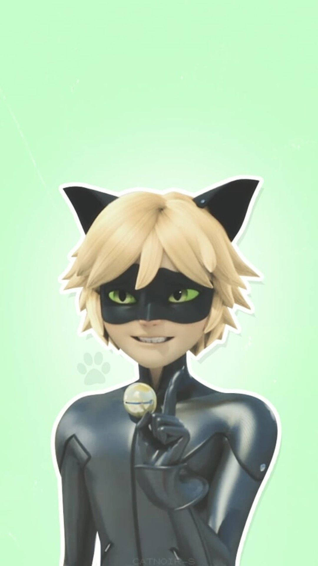 Cat Noir 1080X1920 Wallpaper and Background Image