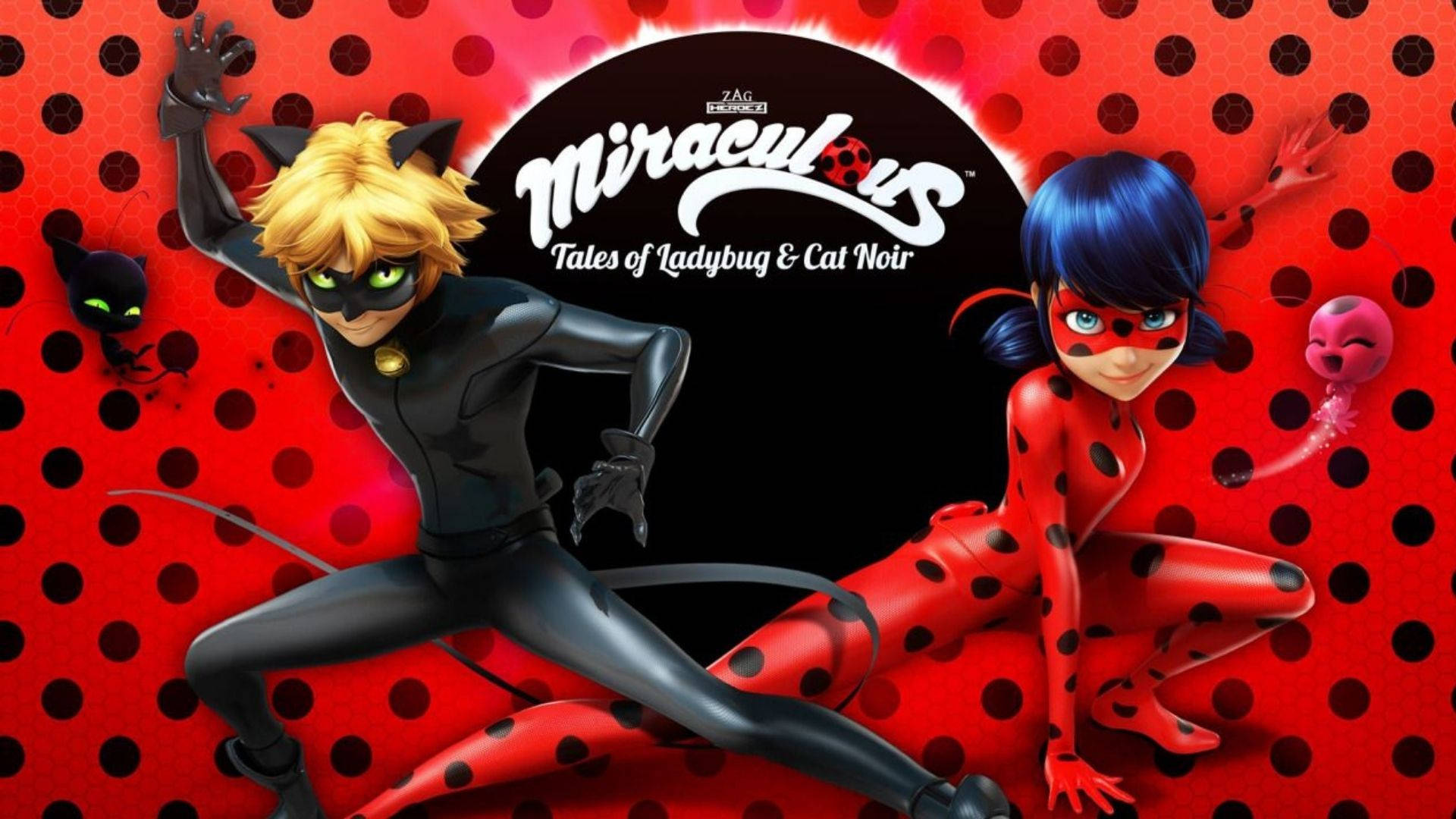 Cat Noir 1920X1080 Wallpaper and Background Image