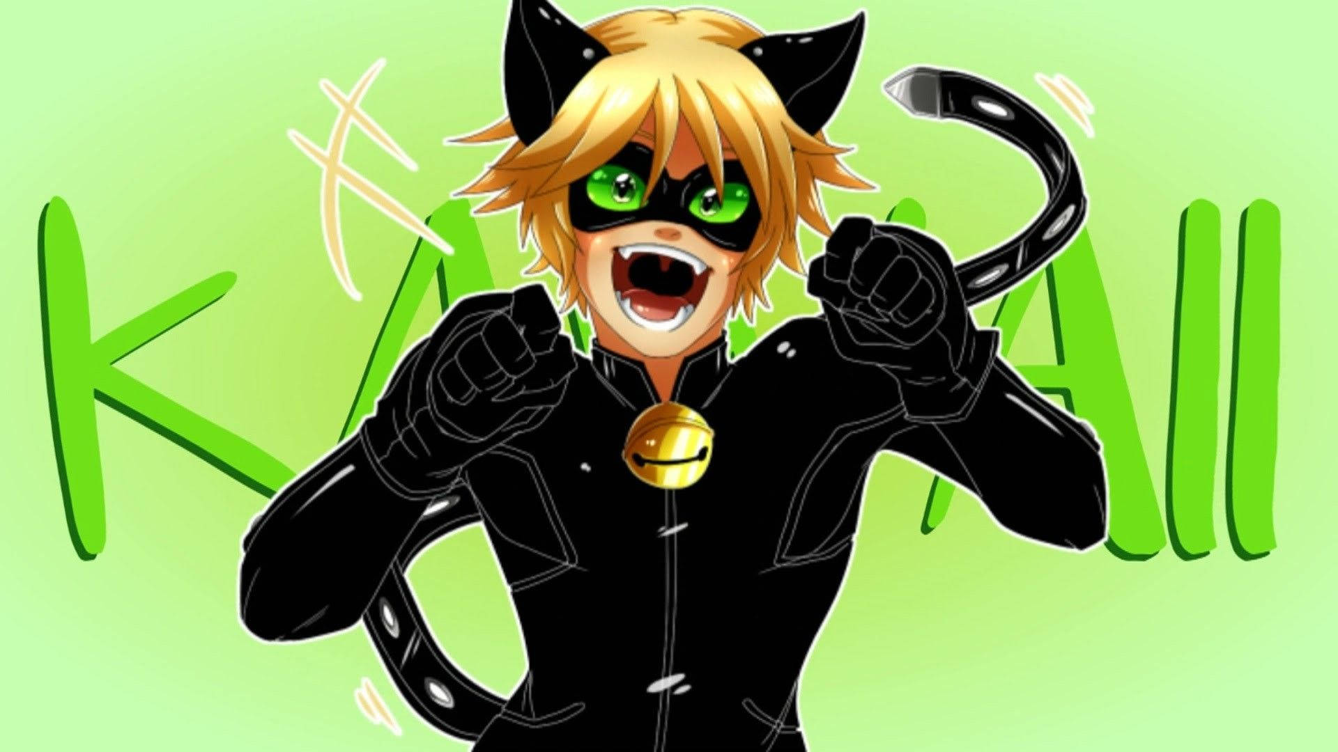 Cat Noir 1920X1080 Wallpaper and Background Image