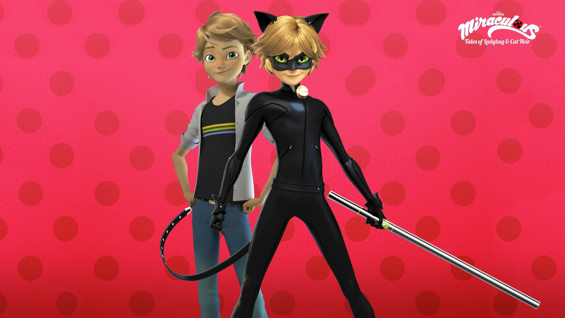 Cat Noir 2560X1440 Wallpaper and Background Image