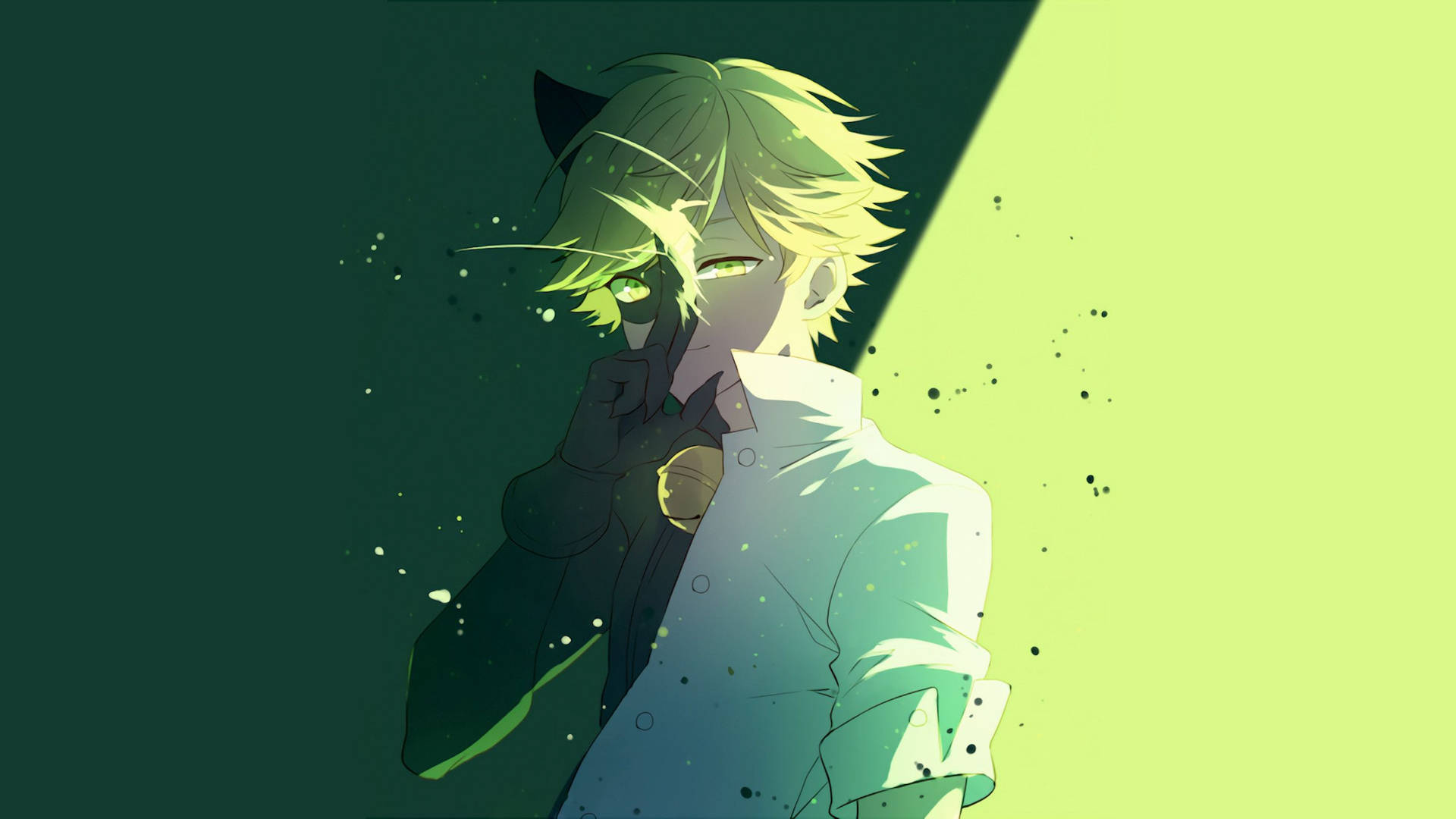 Cat Noir 2674X1504 Wallpaper and Background Image