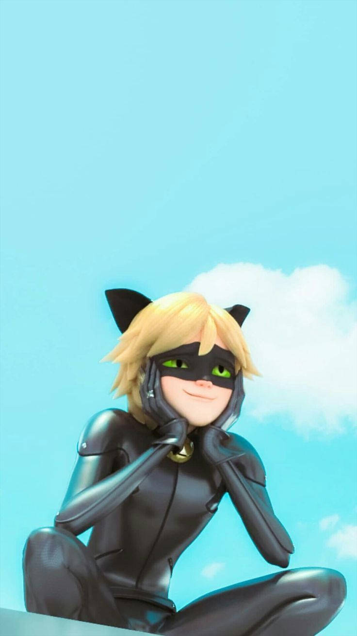 Cat Noir 736X1308 Wallpaper and Background Image