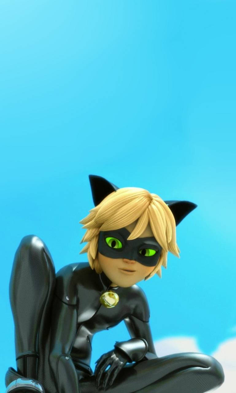 Cat Noir 769X1280 Wallpaper and Background Image