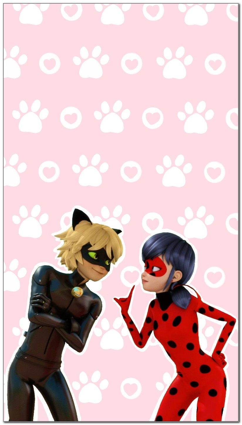 Cat Noir 825X1447 Wallpaper and Background Image