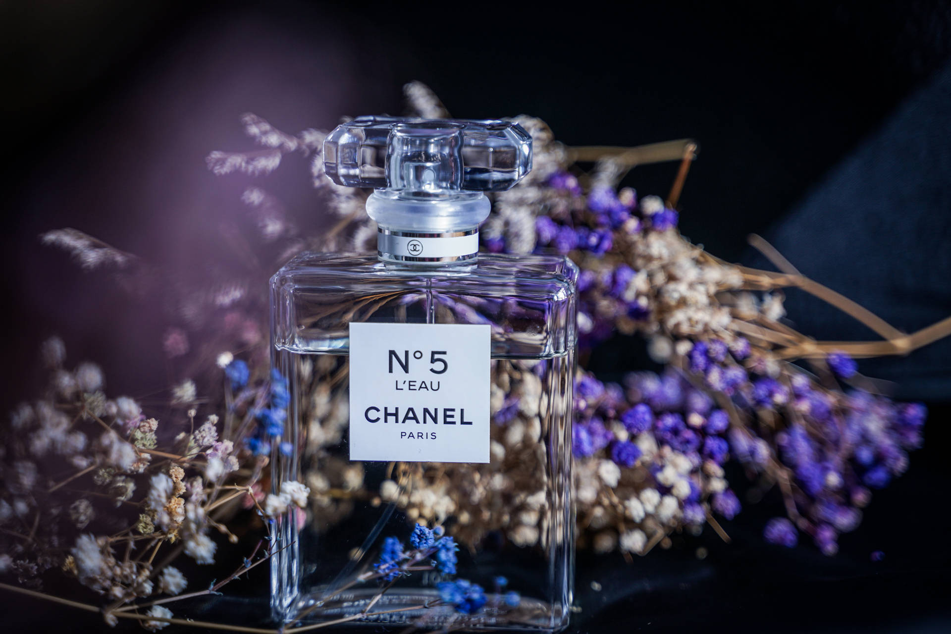 Chanel 5810X3873 Wallpaper and Background Image