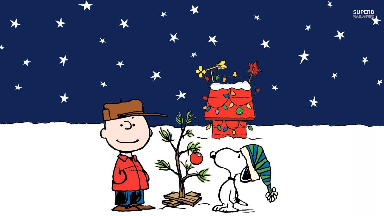 1600X900 Charlie Brown Wallpaper and Background