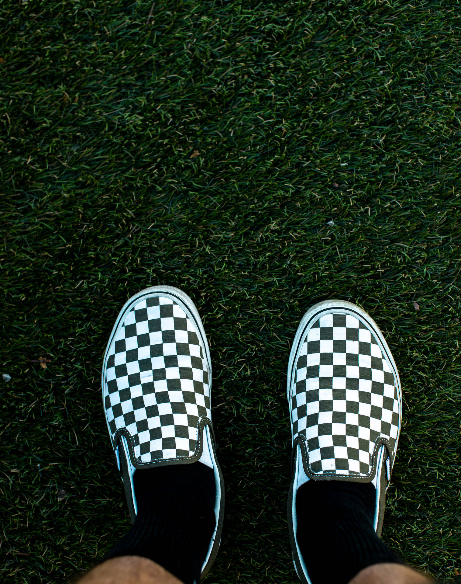 Checkered 3648X4618 Wallpaper and Background Image