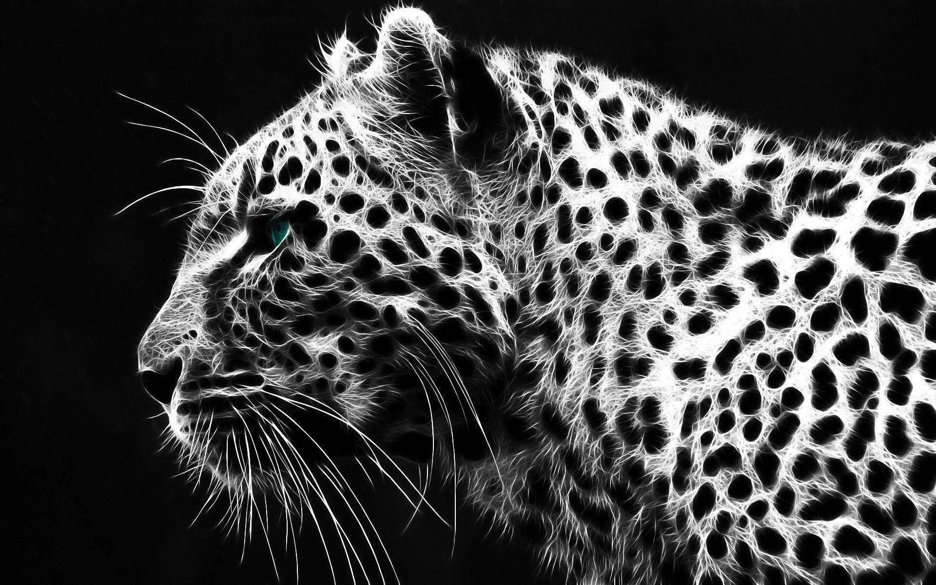 Cheetah 1920X1200 Wallpaper and Background Image