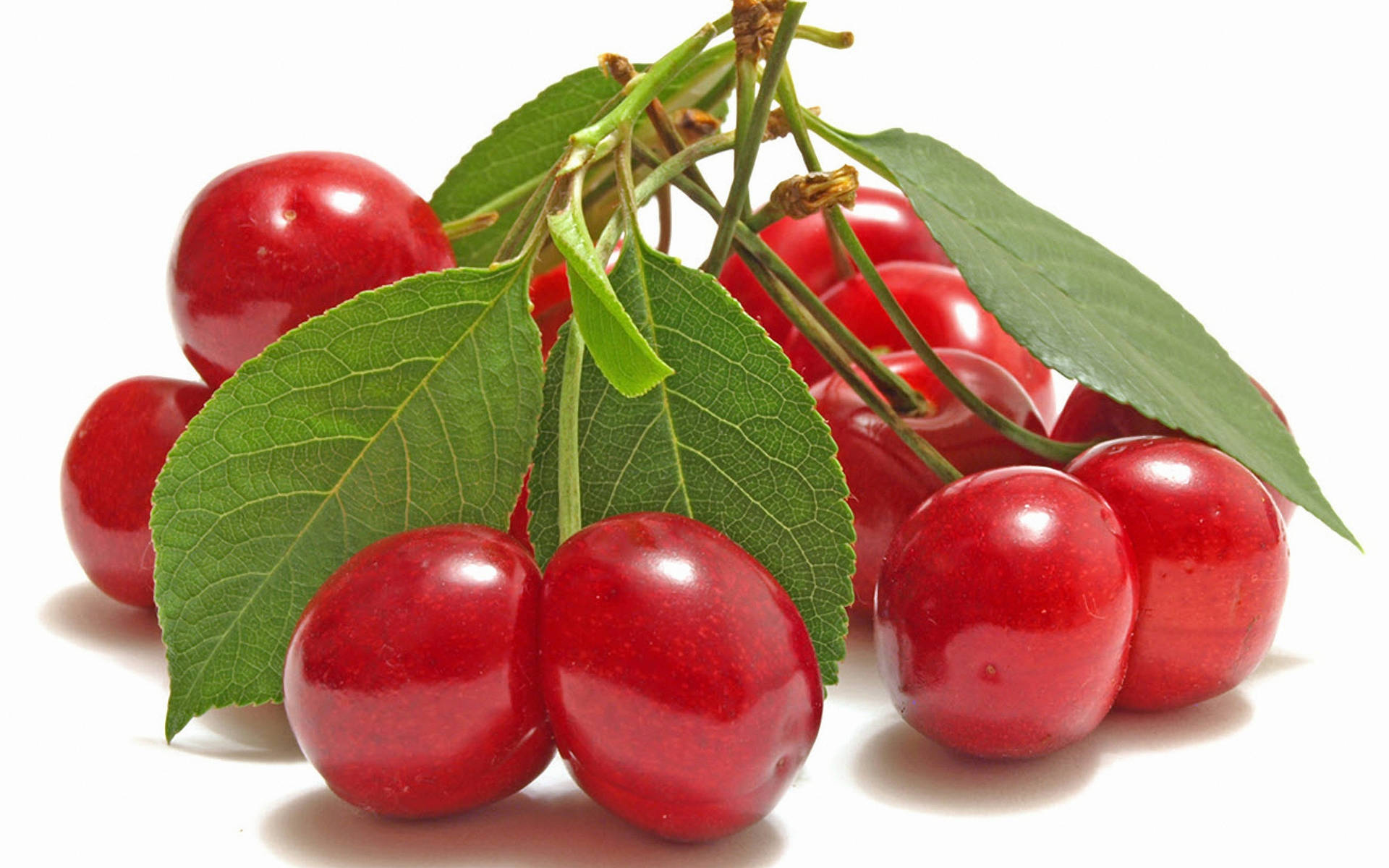2560X1600 Cherry Wallpaper and Background
