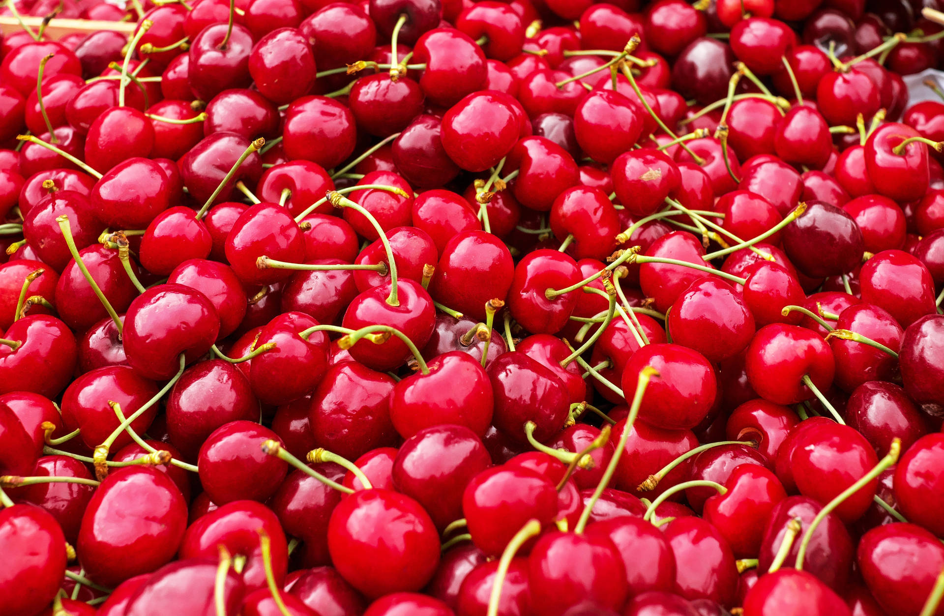 4896X3195 Cherry Wallpaper and Background
