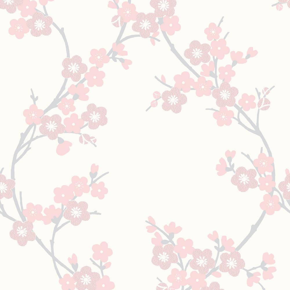 Cherry Blossom 1000X1000 Wallpaper and Background Image