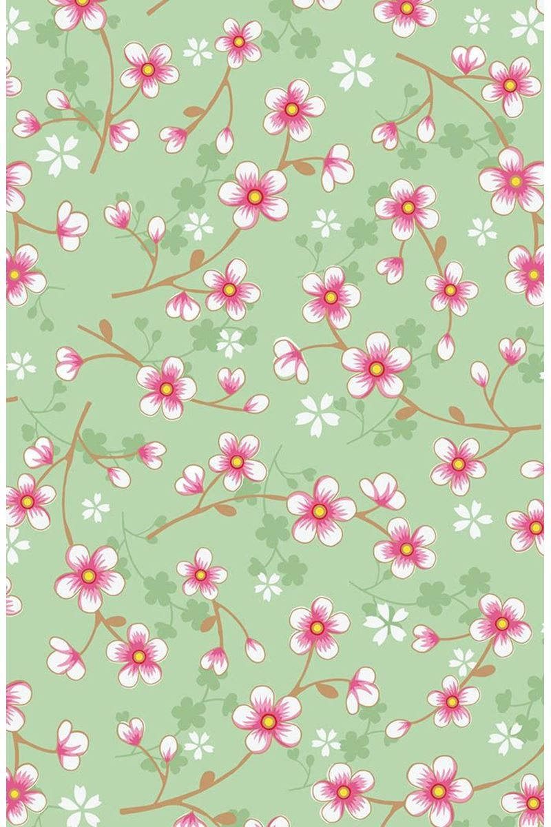 800X1200 Cherry Blossom Wallpaper and Background
