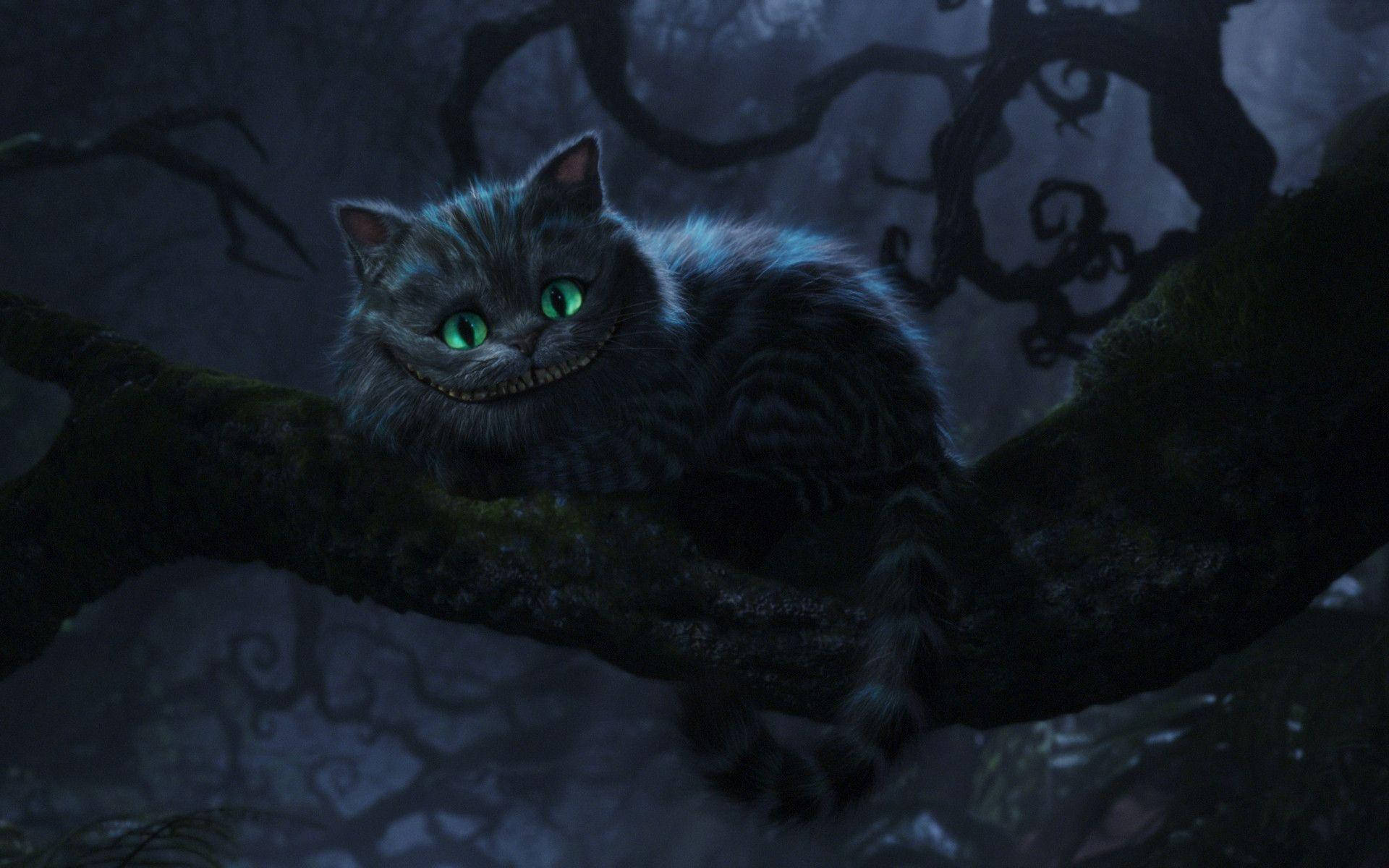 Cheshire Cat 1920X1200 Wallpaper and Background Image