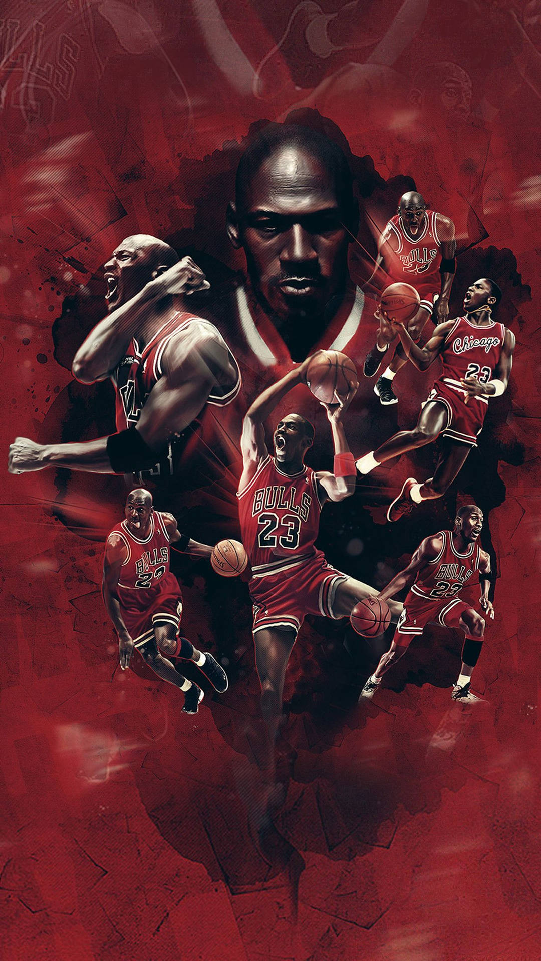 1242X2208 Chicago Bulls Wallpaper and Background