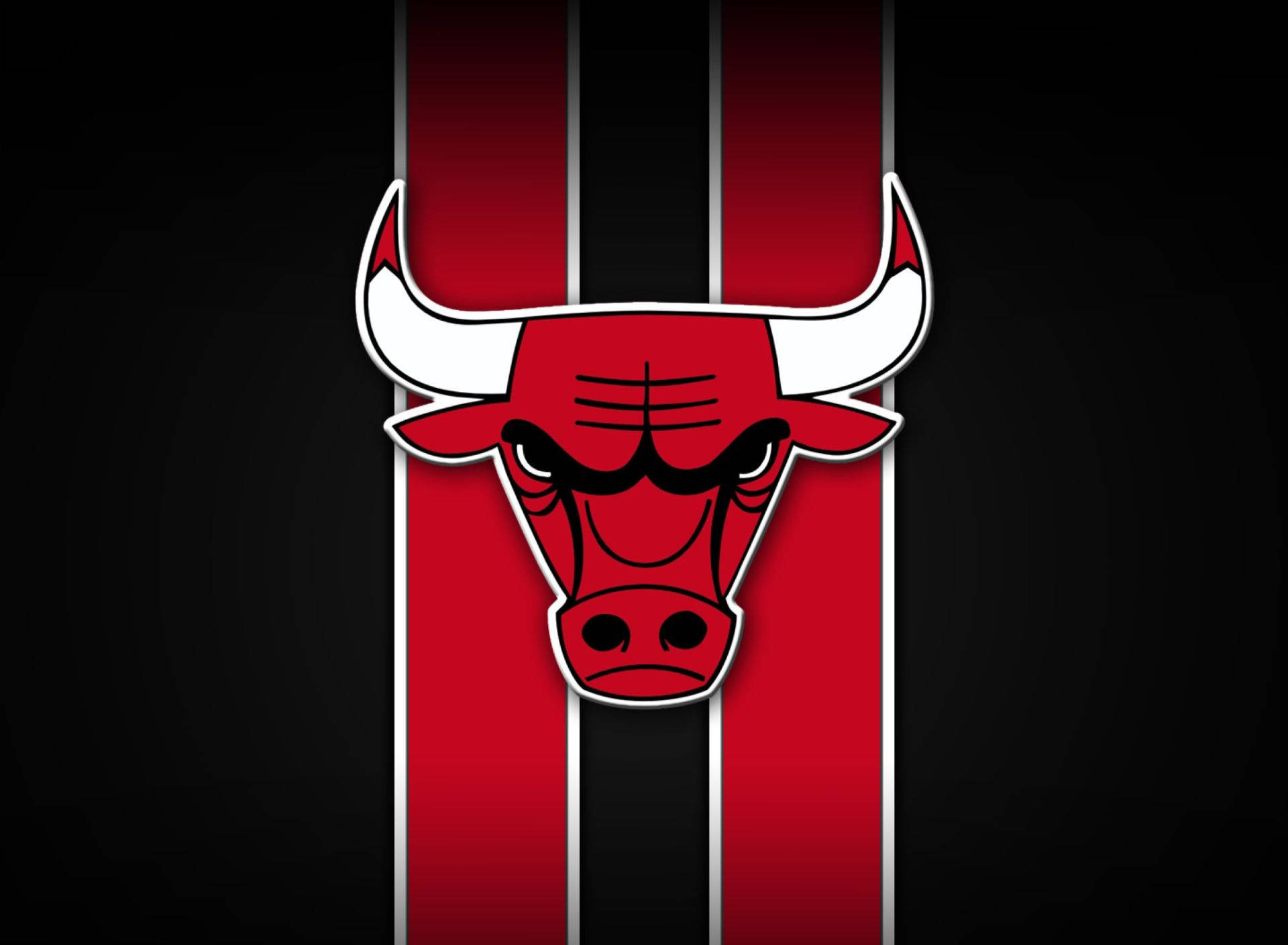 Chicago Bulls 1920X1408 Wallpaper and Background Image