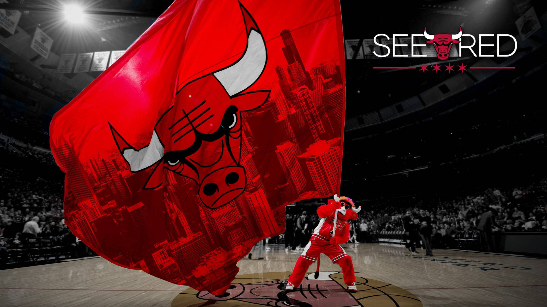 Chicago Bulls 2560X1440 Wallpaper and Background Image