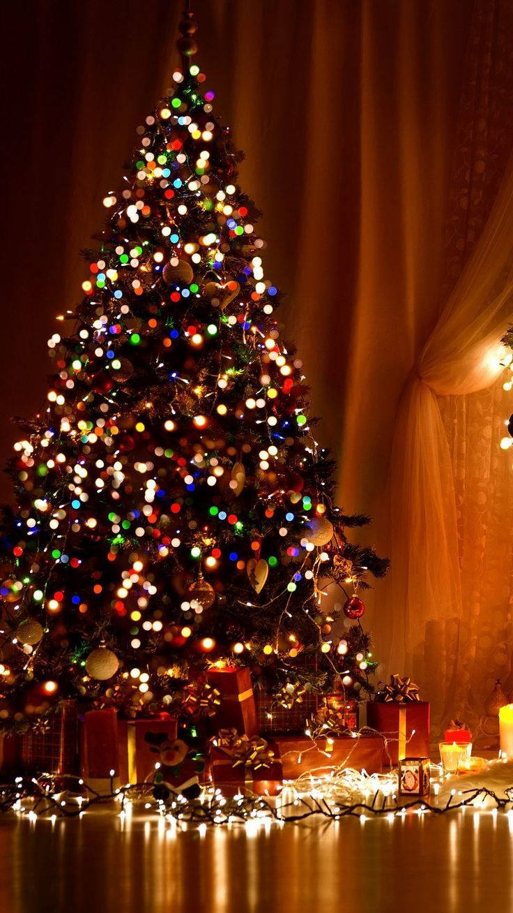 736X1308 Christmas Wallpaper and Background