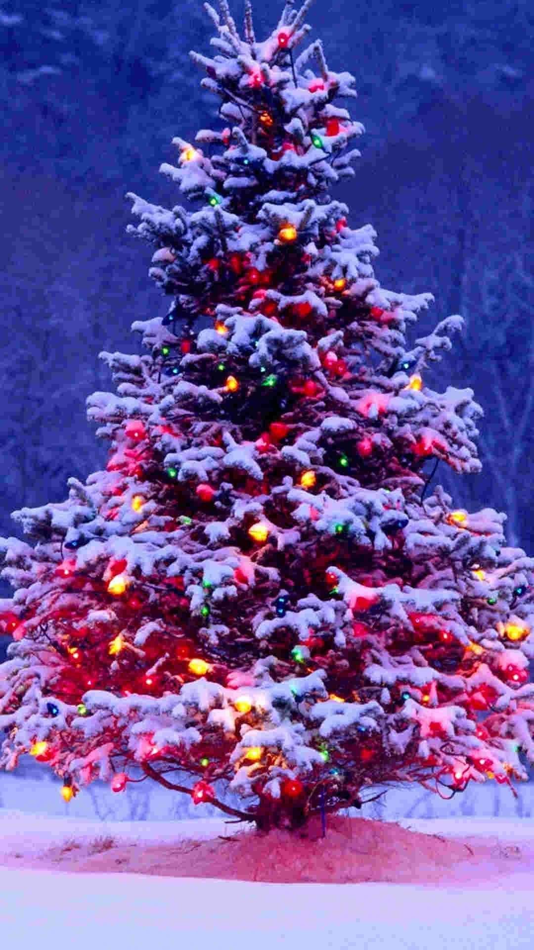 Christmas Iphone 1080X1920 Wallpaper and Background Image