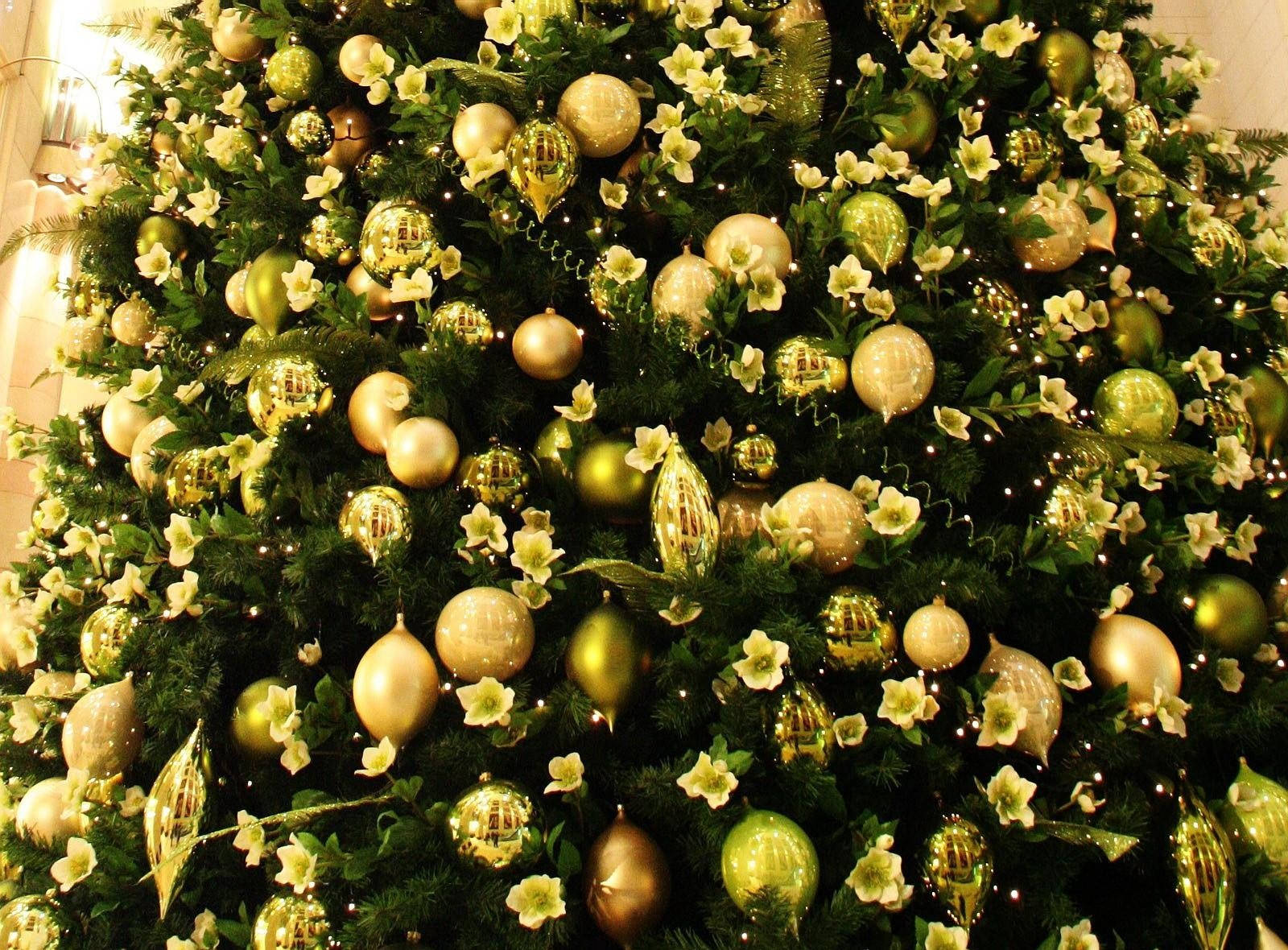 1600X1180 Christmas Tree Wallpaper and Background
