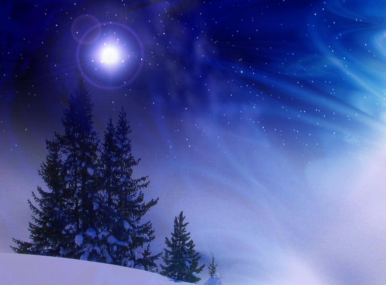 1600X1180 Christmas Tree Wallpaper and Background