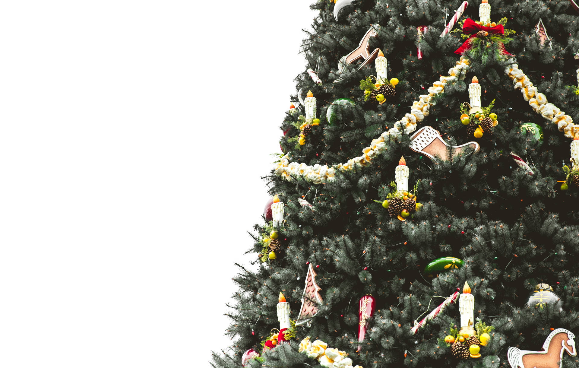 Christmas Tree 5242X3331 wallpaper