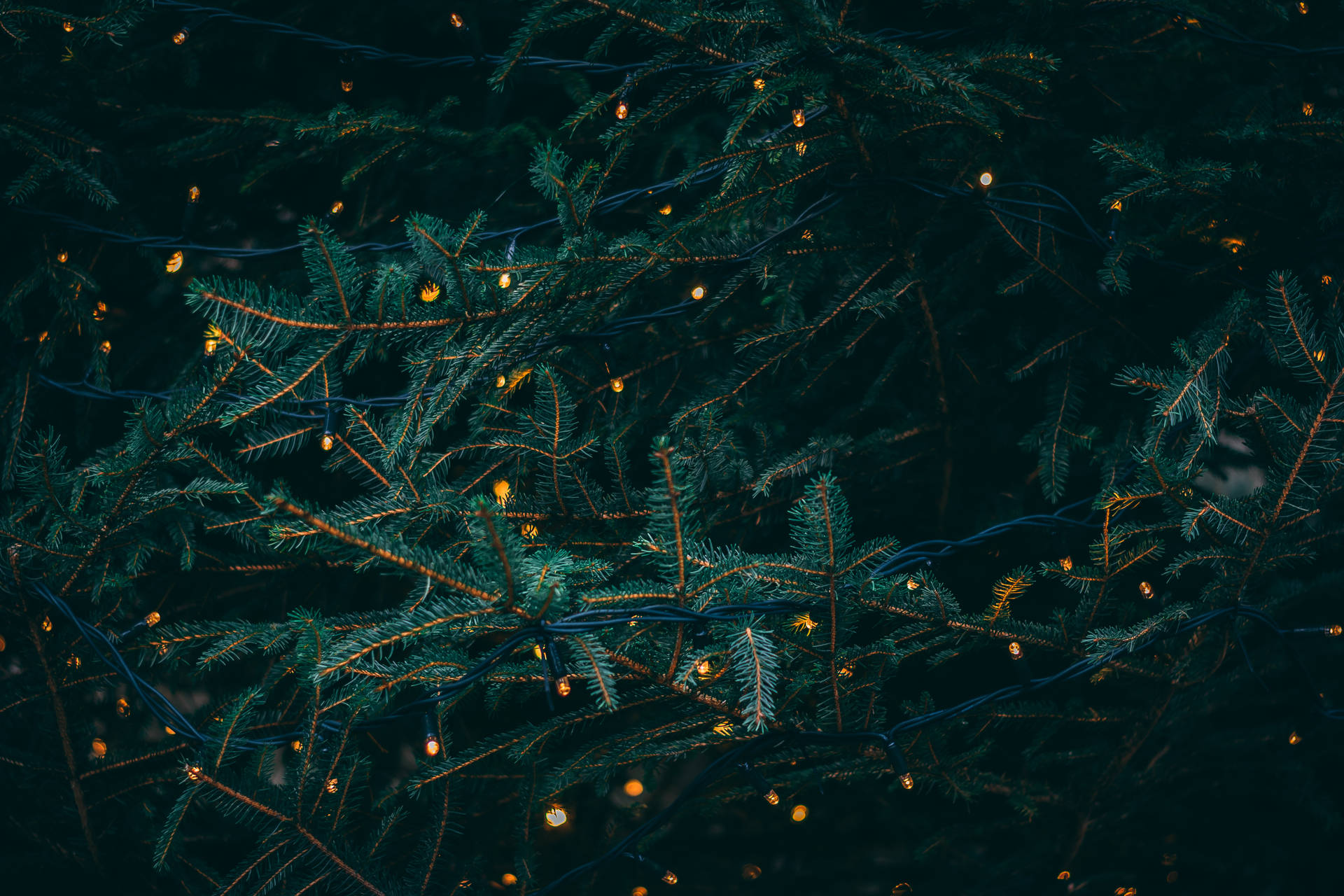 Christmas Tree 6000X4000 Wallpaper and Background Image