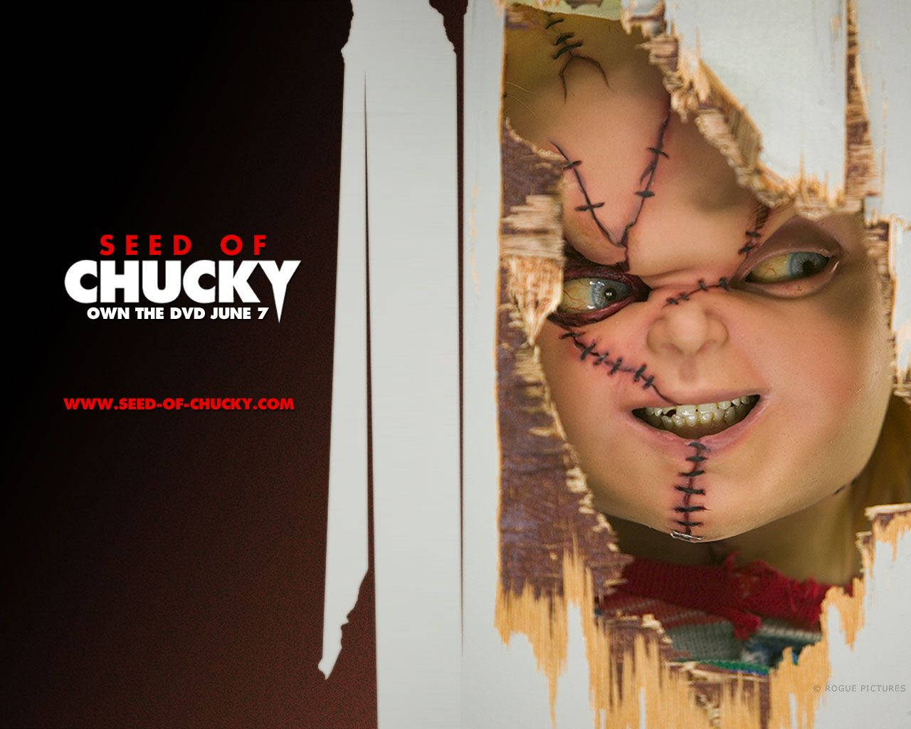 Chucky 1280X1024 Wallpaper and Background Image