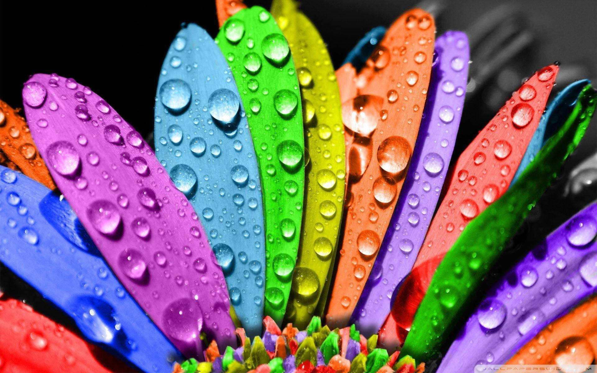 Colorful 1920X1200 Wallpaper and Background Image