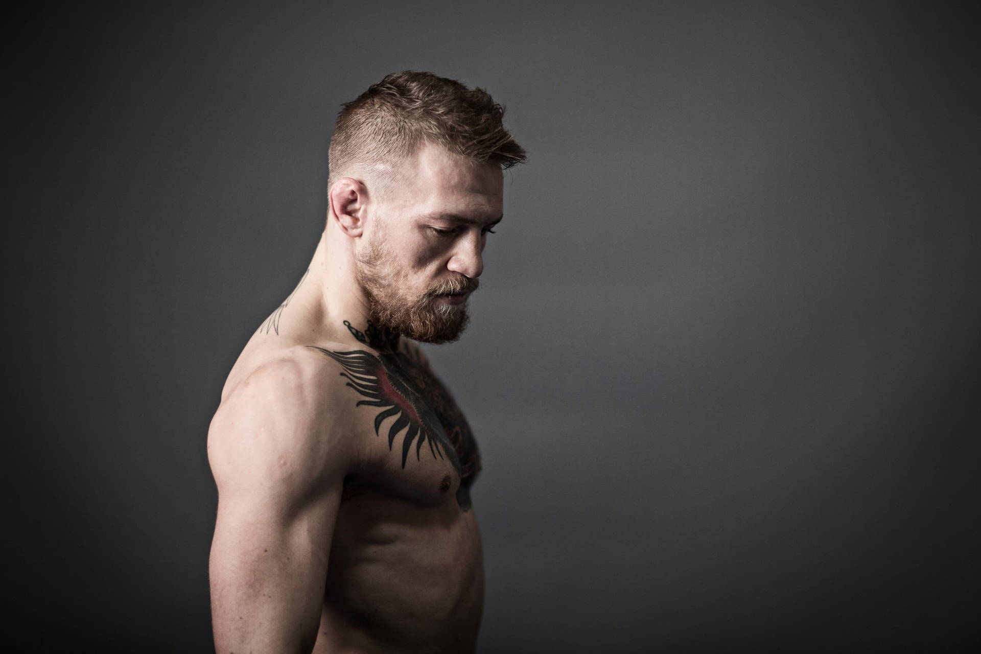 2880X1920 Conor Mcgregor Wallpaper and Background