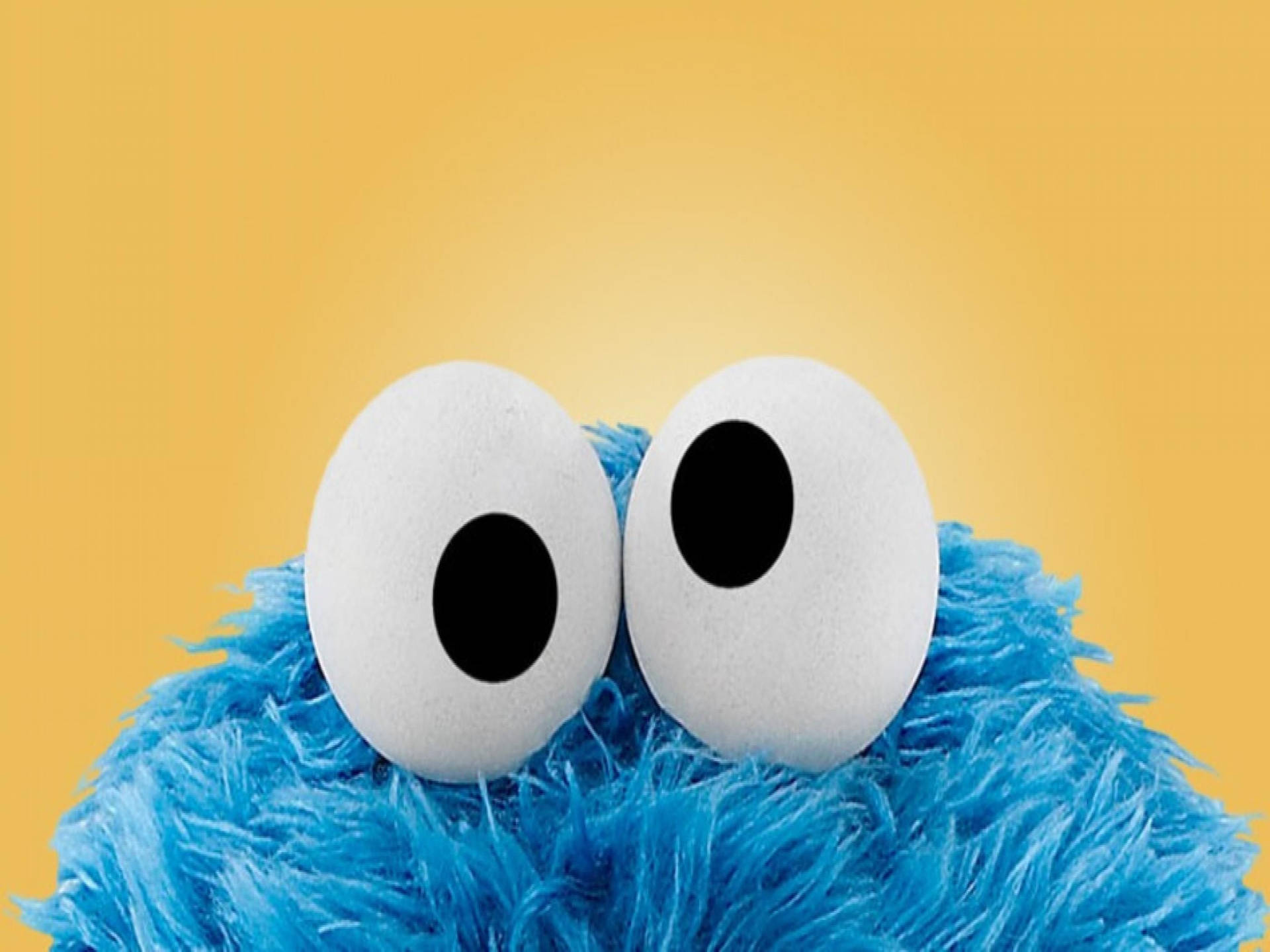 2800X2100 Cookie Monster Wallpaper and Background