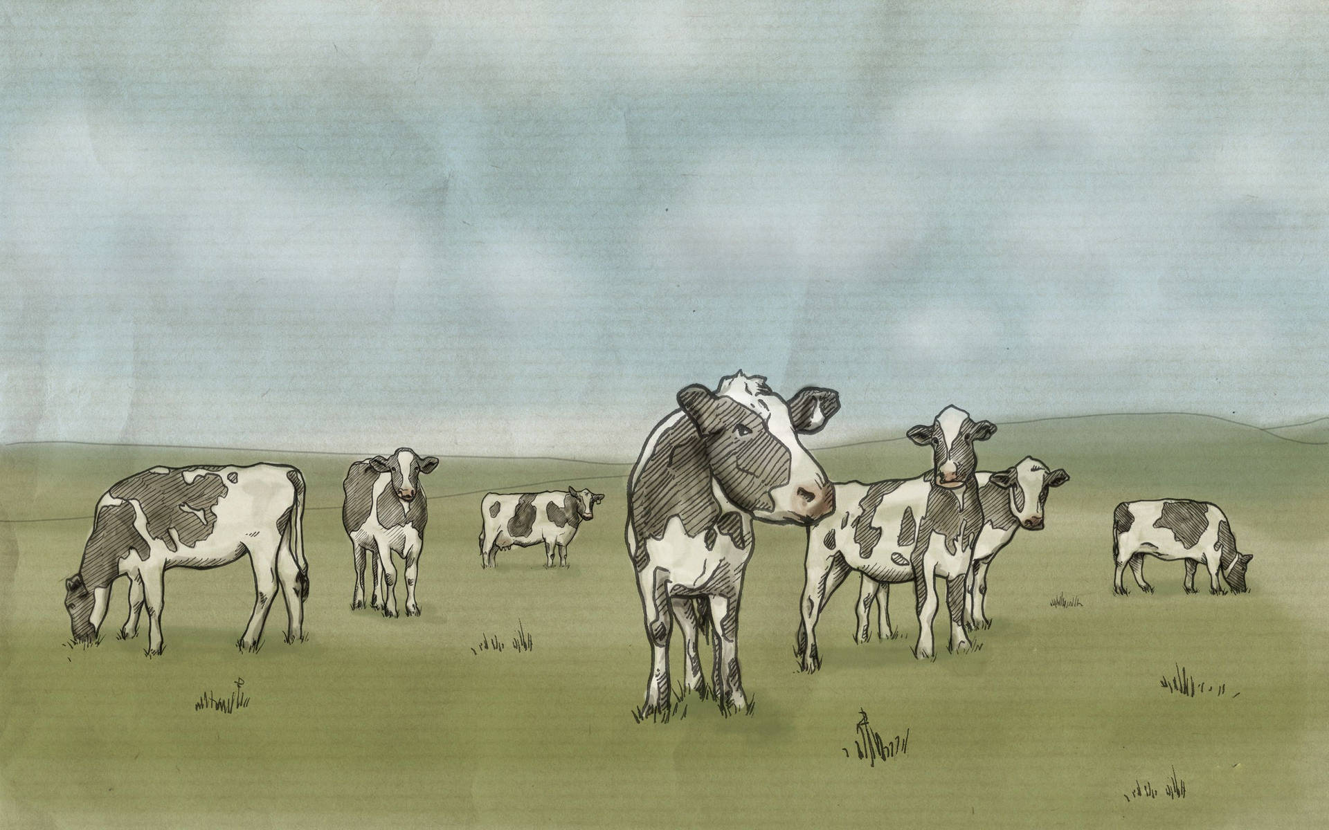 Cow 2560X1600 Wallpaper and Background Image