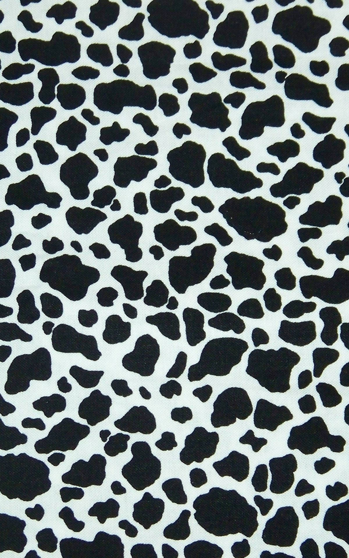 Cow Print 1200X1920 Wallpaper and Background Image