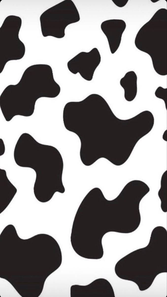 678X1200 Cow Print Wallpaper and Background