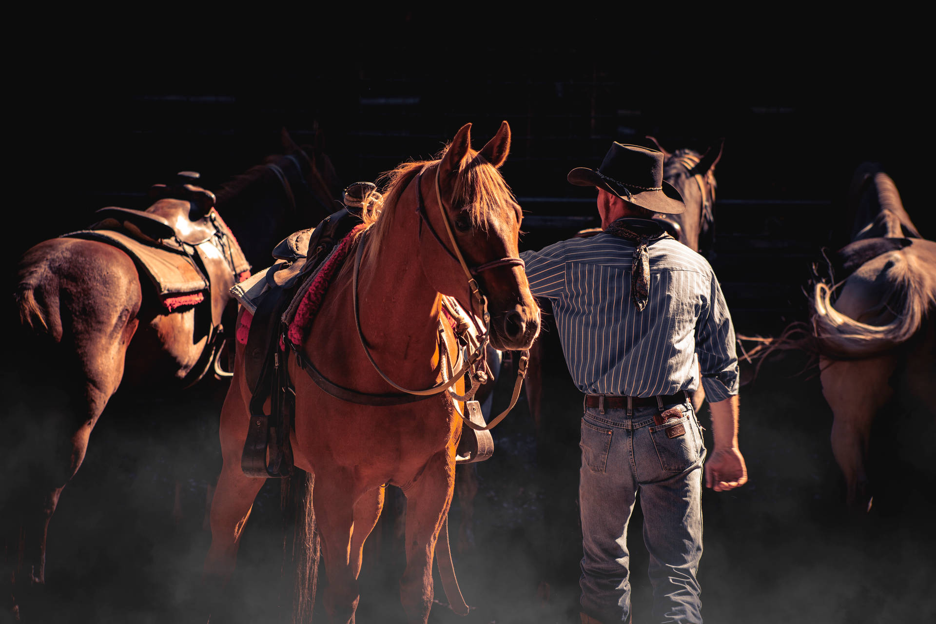 Cowboy 5616X3744 Wallpaper and Background Image