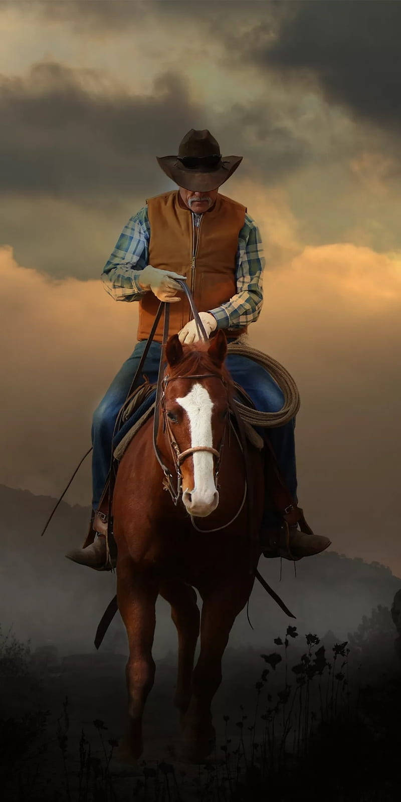 Cowboy 800X1600 Wallpaper and Background Image