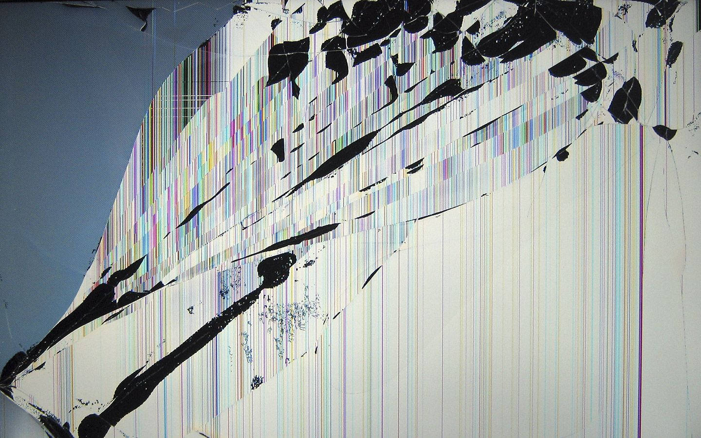 Cracked Screen 1440X900 wallpaper