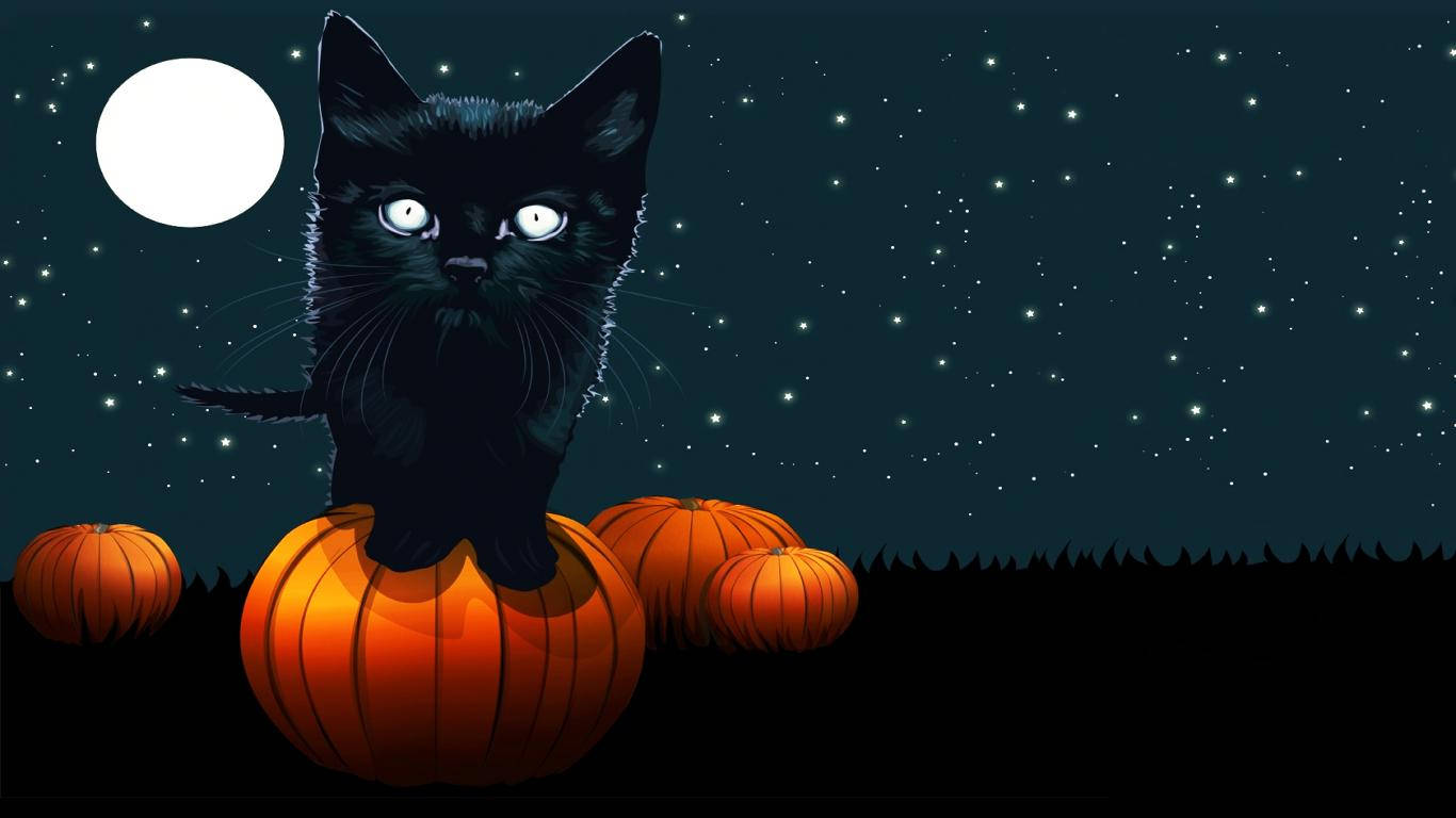 Cute Black 1366X768 Wallpaper and Background Image