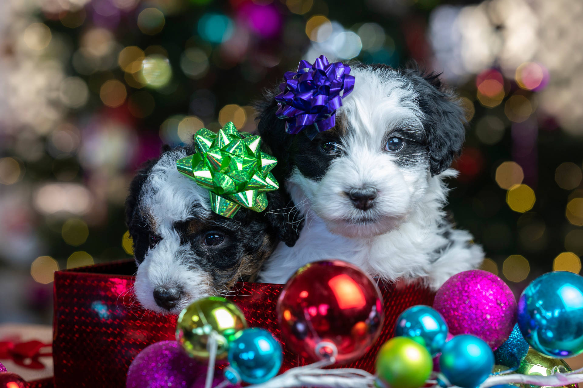 5120X3406 Cute Christmas Wallpaper and Background