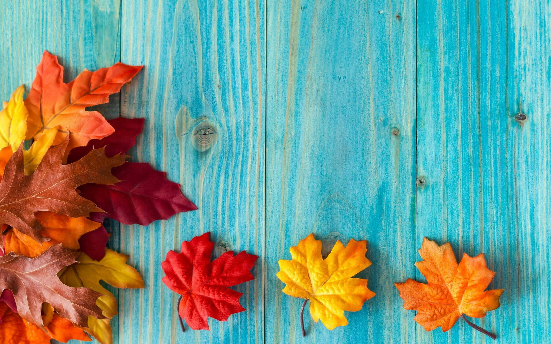 Cute Fall 1920X1200 Wallpaper and Background Image