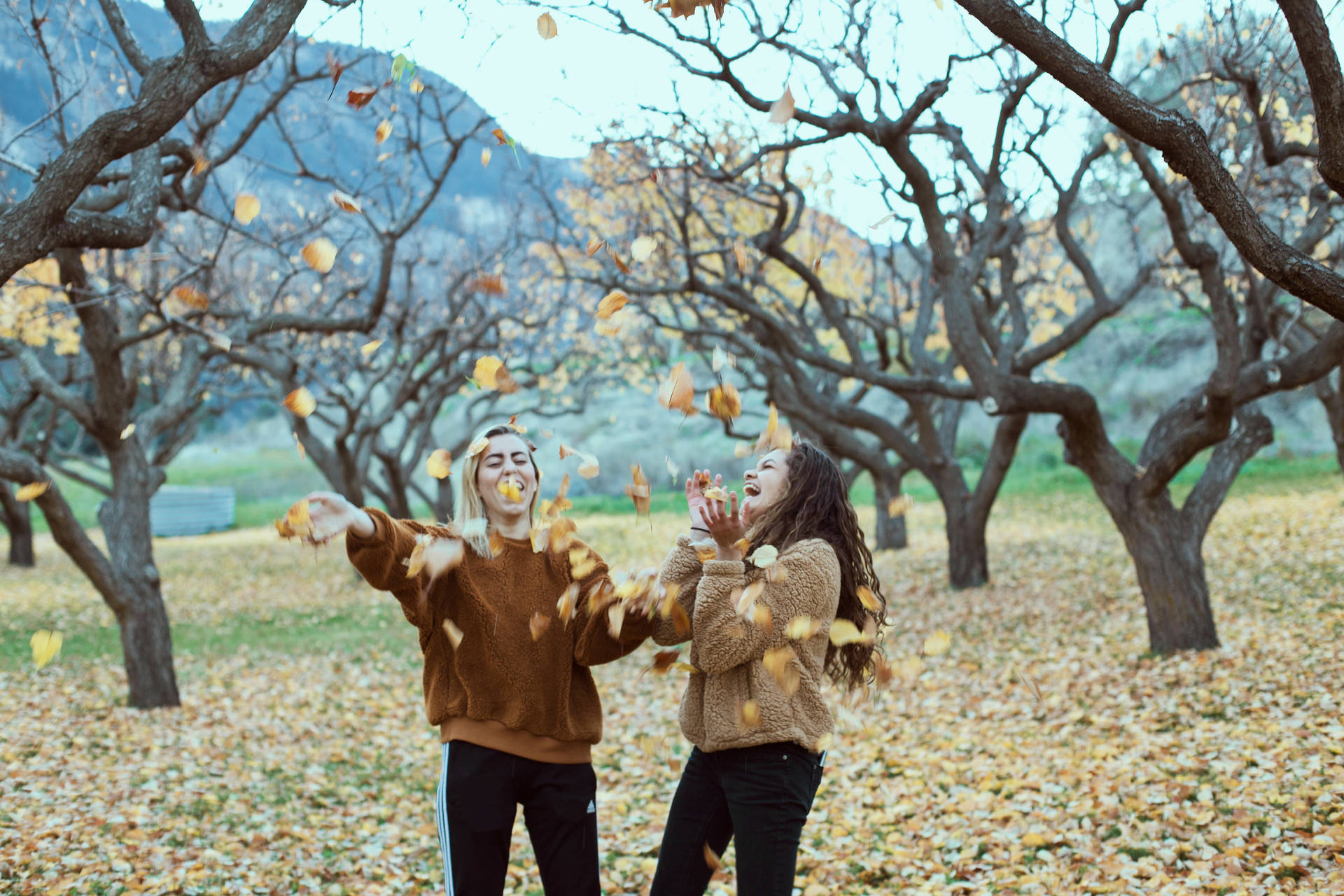 5472X3648 Cute Fall Wallpaper and Background