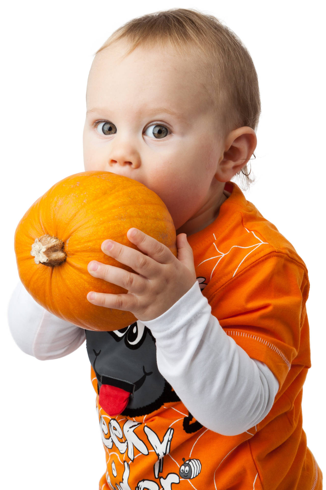 Cute Halloween 2490X3736 Wallpaper and Background Image