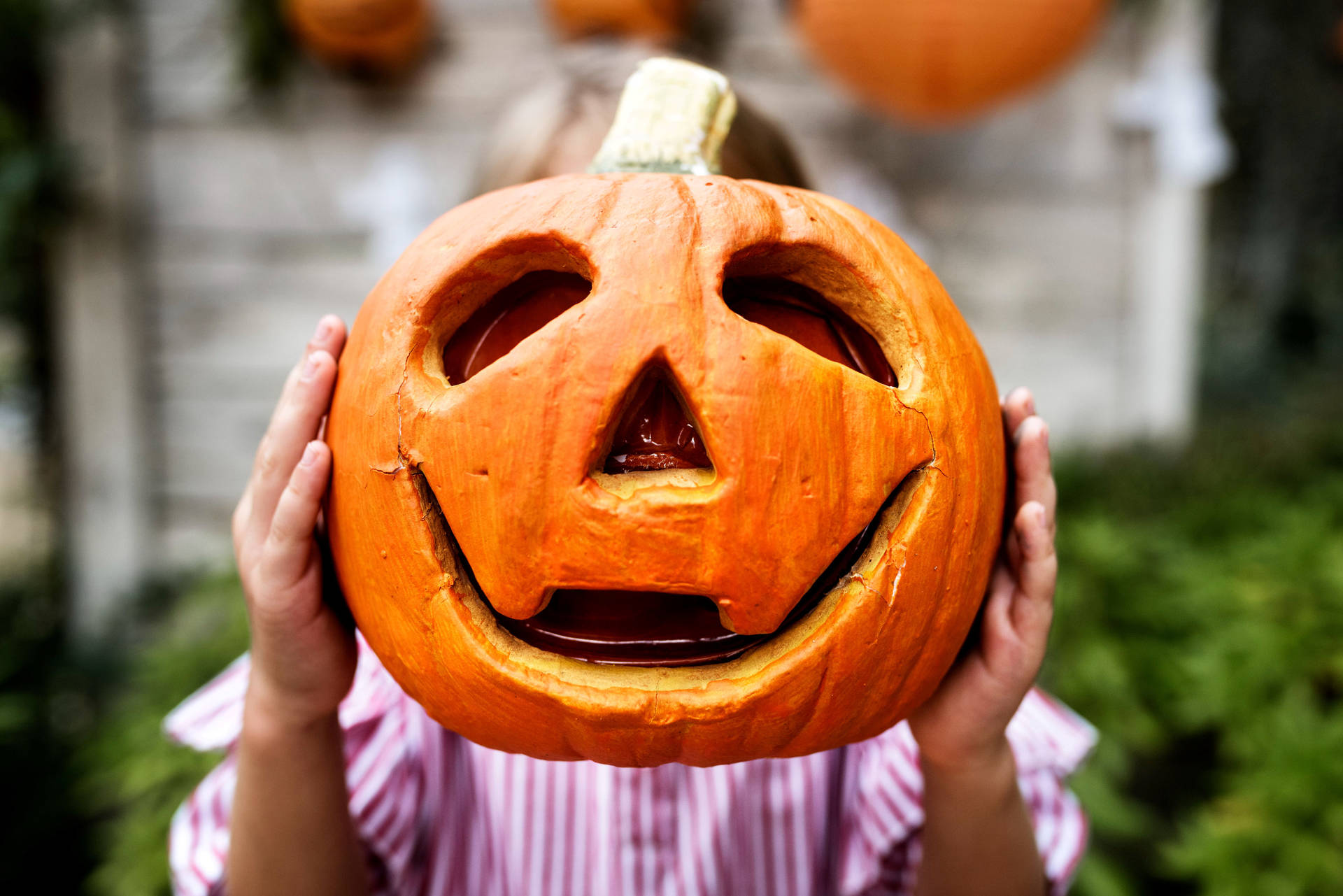 6776X4522 Cute Halloween Wallpaper and Background