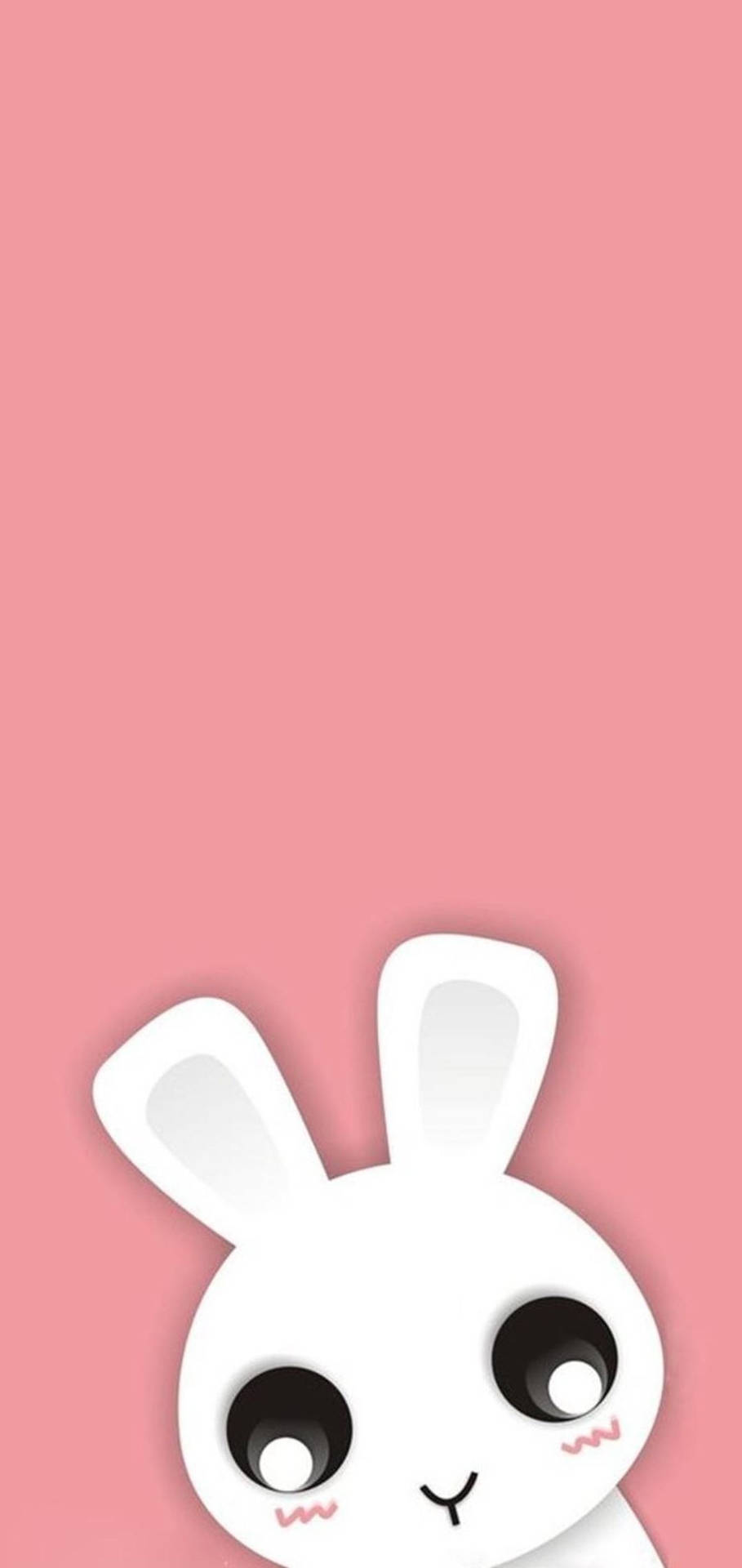 1080X2280 Cute Iphone Wallpaper and Background