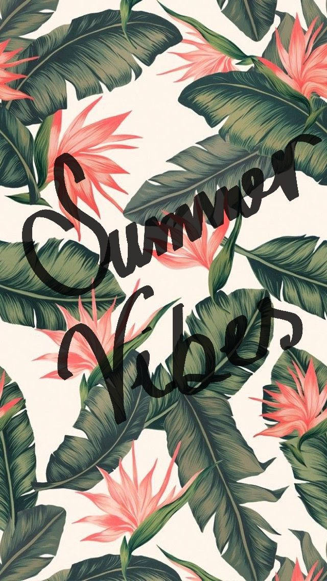 640X1136 Cute Summer Wallpaper and Background