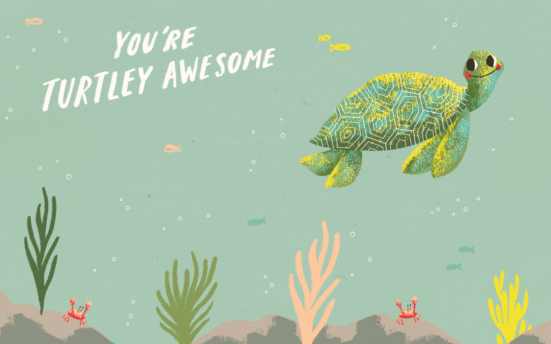 2878X1800 Cute Turtle Wallpaper and Background