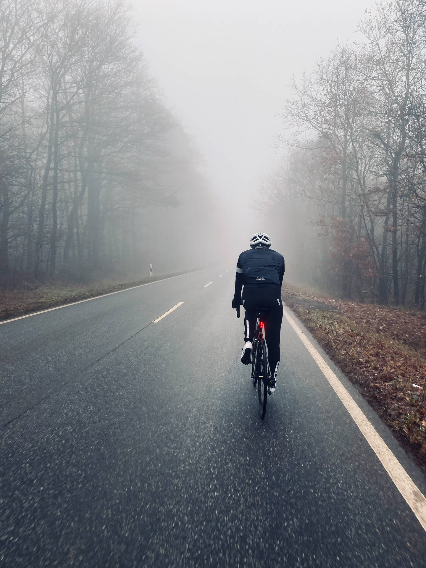 2817X3756 Cycling Wallpaper and Background