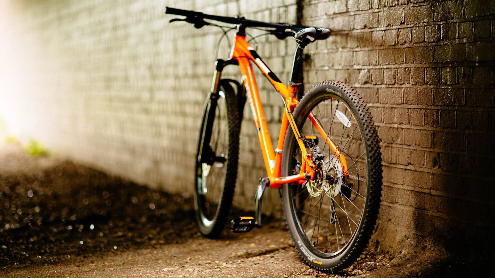 Cycling 3840X2160 Wallpaper and Background Image