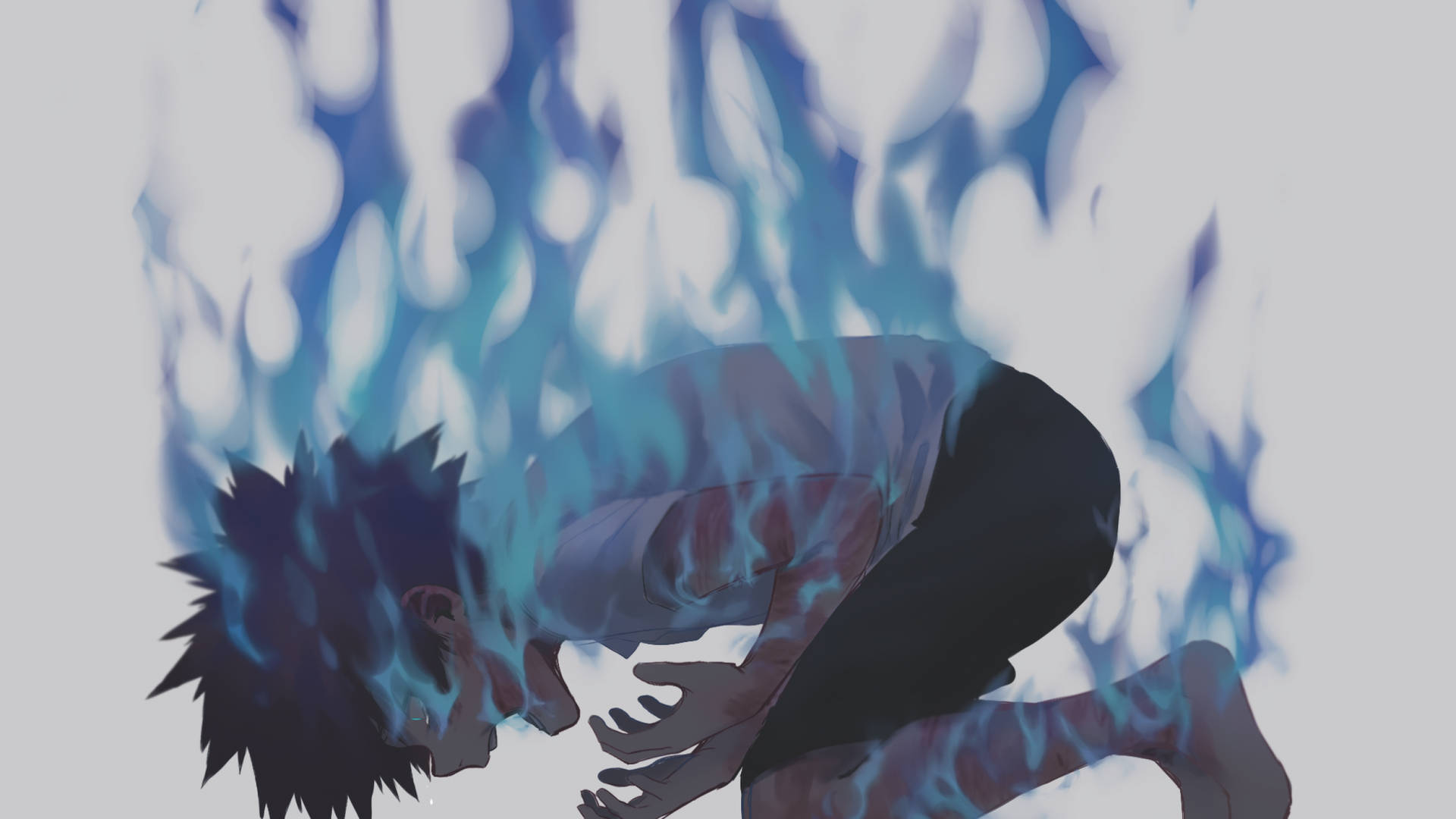 Dabi 2560X1440 Wallpaper and Background Image