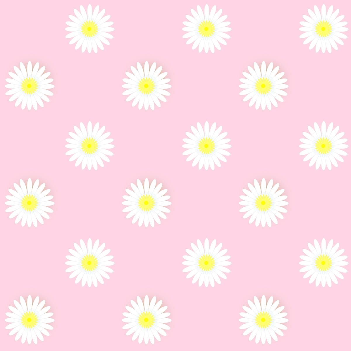 1200X1200 Daisy Wallpaper and Background
