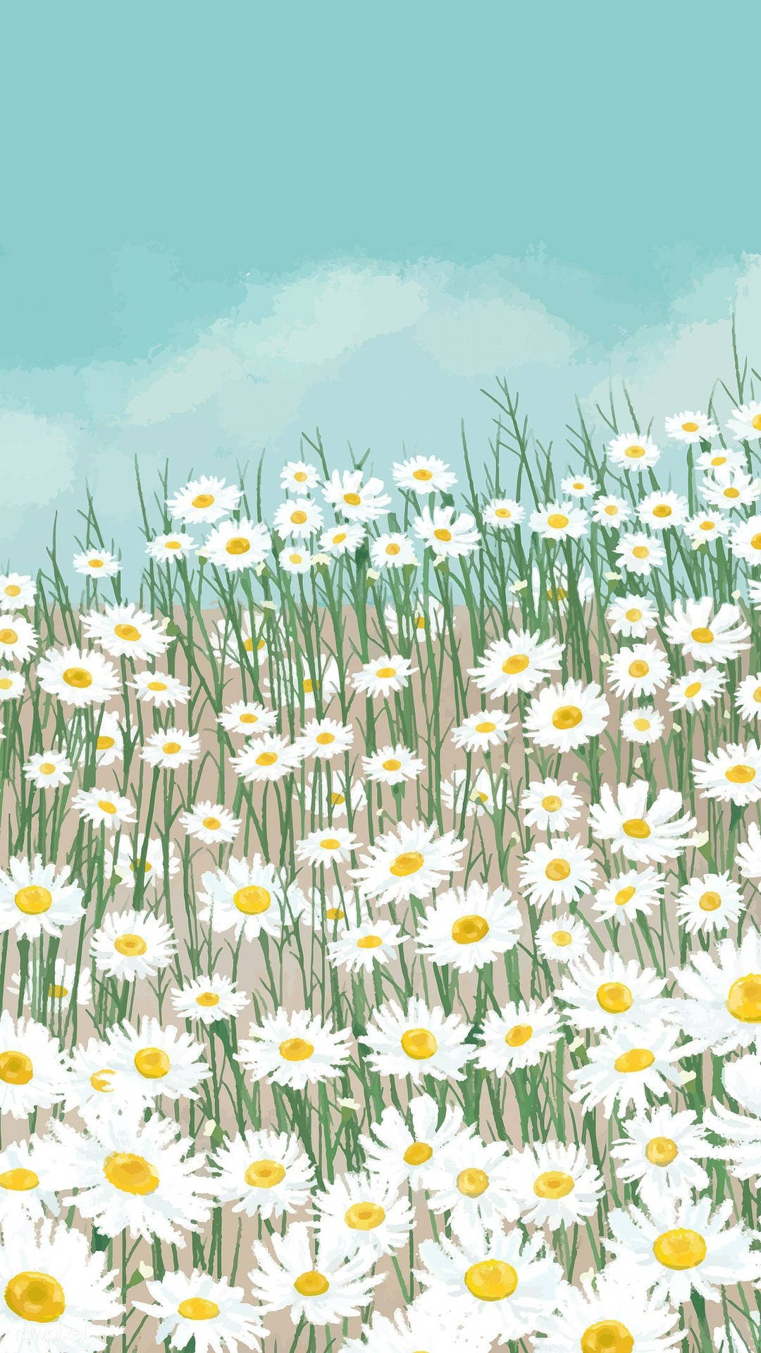 Daisy 1200X2133 Wallpaper and Background Image